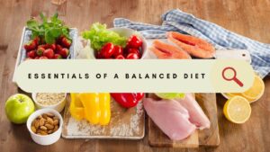 macronutrients and micronutrients