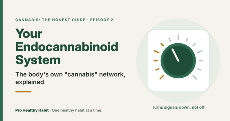 Dimmer switch illustration beside the title "Your Endocannabinoid System: the body's own cannabis network, explained"