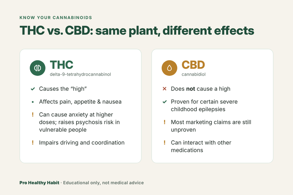 02 thc vs cbd