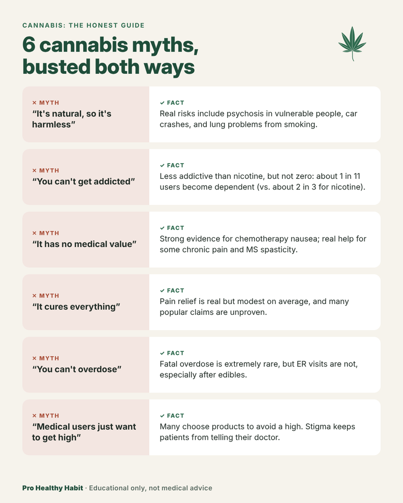 04 cannabis myths vs facts 1